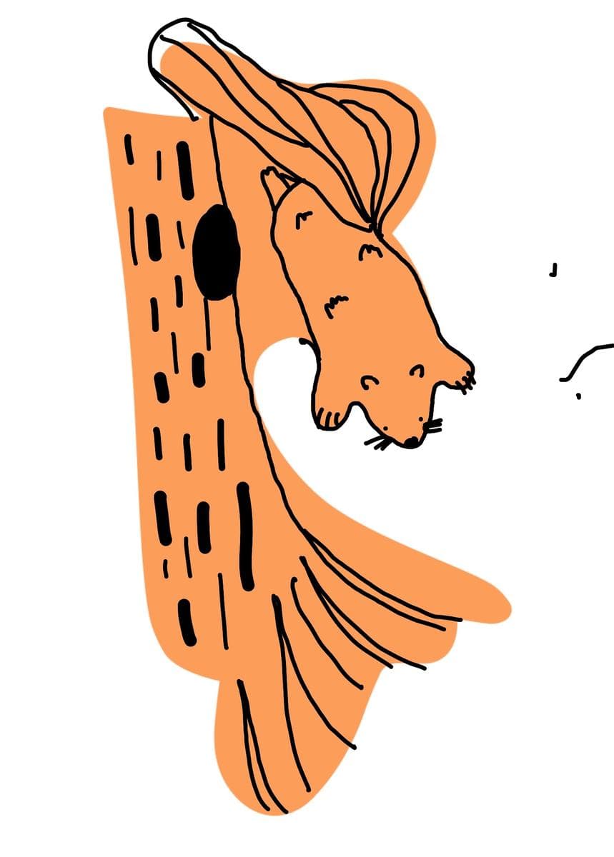 An orange blob turned into an animal, its head at the top right and its long body falling away in ruled strokes.