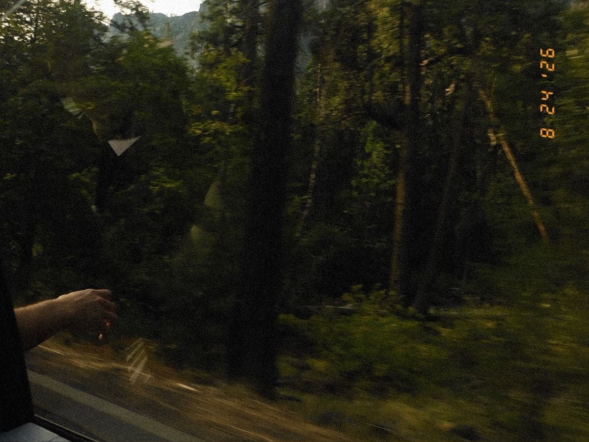 A hand held out of a car window, forest rushing past behind it.